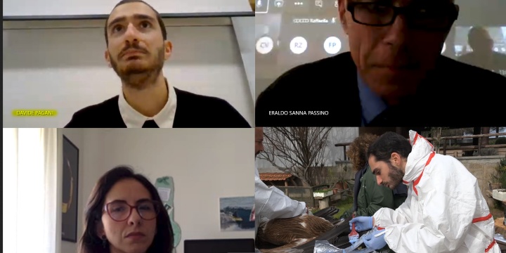 Il diario di uno studente milanese: così ho imparato a riconoscere i Grifoni