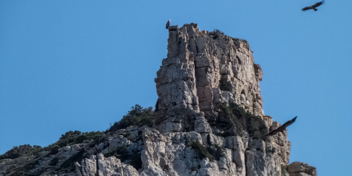 Sono a Bosa ma potrebbero tornare in tutti i cieli sardi