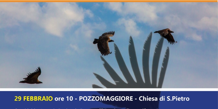 I Giorni del Grifone, gli allevatori di Pozzomaggiore "adottano" il giovane Entulzu