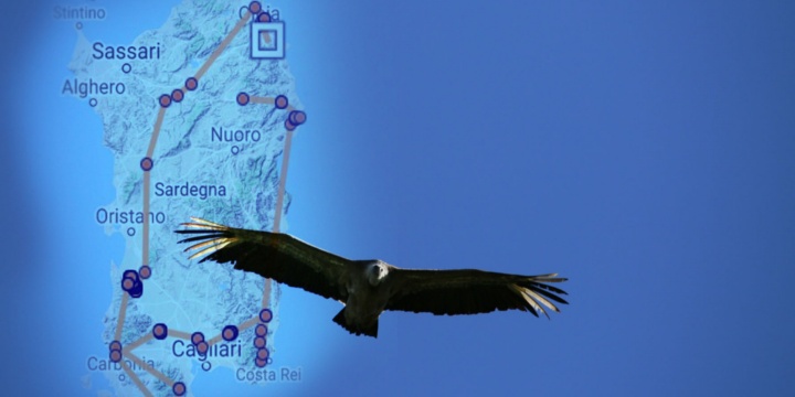 Cuada che non ha paura dei cieli sardi