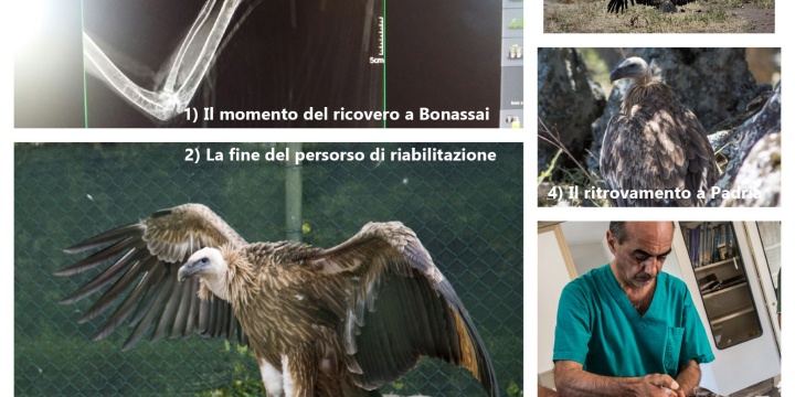 La storia di LIFE in cinque tappe