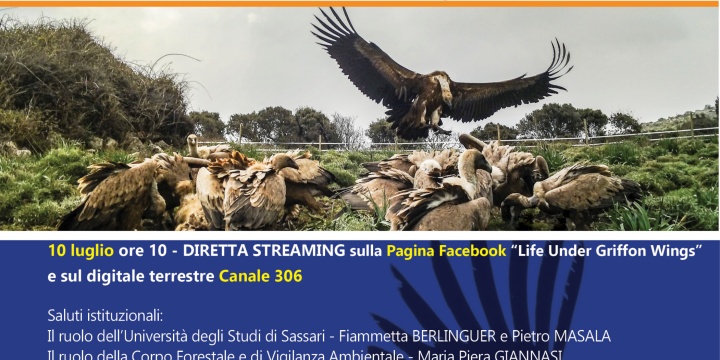 La Conferenza di chiusura del nostro progetto