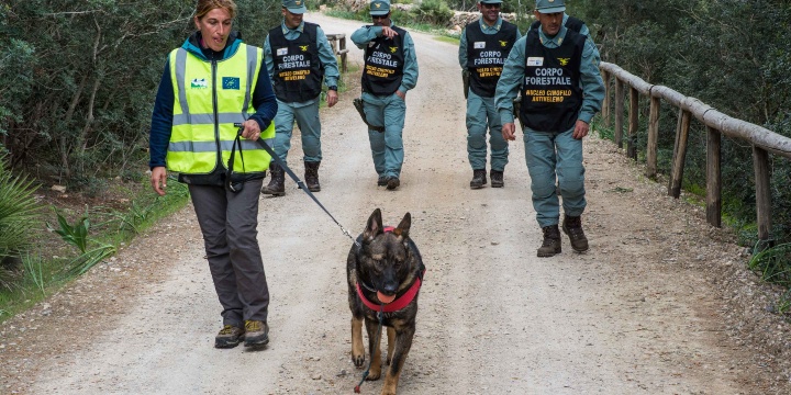 Così alleniamo i cani a riconoscere i veleni