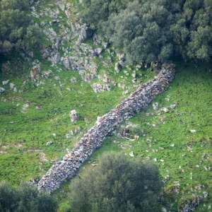 Pozzomaggiore - Padria