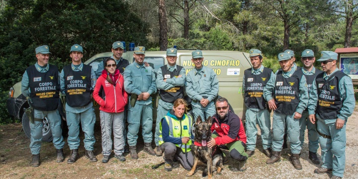 The first investigation of the Anti-poison Dog Unit