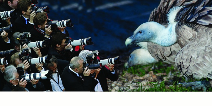 Scriviamo le regole della fotografia naturalistica